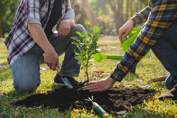 two men planting a tree and watering the trees to grow green forests reduce air pollution for peace to reduce global warming pollution