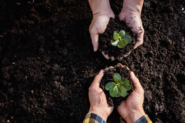 human hand planting a sapling The concept of preserving nature for the future of humanity. to reduce the problem of global warming pollution , the idea of ​​planting trees
