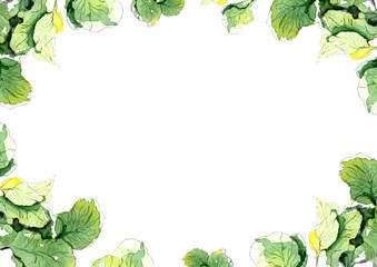 Frame of radish leaves. Green watercolor illustration on a white background.