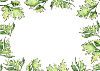 Naklejka premium Parsley leaf frame . Green watercolor illustration on a white background.