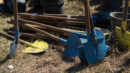 Buckets, blue and yellow shovels for planting trees