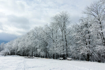 Winter view of South Park in city of Sofia, Bulgaria