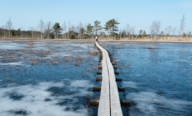Fototapeta premium Tuhu nature Tuhu nature walking trail. wooden footbridges in the swamp. Estonia.
