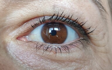 close up of a female eye