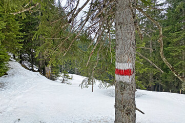 Hiking markings and orientation signs with signposts for navigating in the Wagital valley (Waegital or Wägital) and alpine Lake Wagitalersee (Wägitalersee), Innerthal - Canton of Schwyz, Switzerland