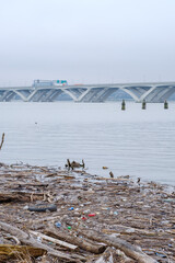 Polluted River and Trash: Potomac River, Alexandria, VA, US - obrazy, fototapety, plakaty