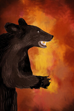 Illustration of a fantasy style black bear. 