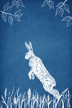 Illustration of a sketchy style white rabbit in the garden. 