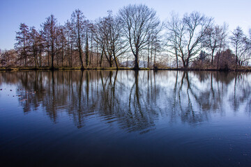 Fototapeta na wymiar Baumspiegelung am tiefblauen ruhigen See