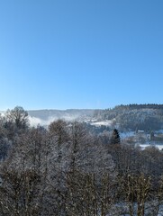 snow covered trees