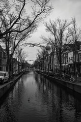 Fototapeta premium Netherland canal