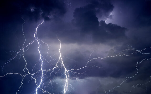 Fork lightning striking down during summer storm	
