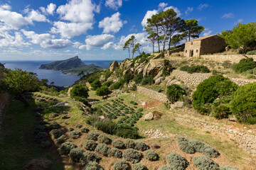 View of Sa Dragonera island in Mallorca (Spain)