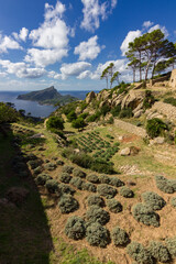 View of Sa Dragonera island in Mallorca (Spain)