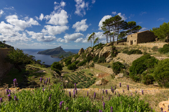 View of Sa Dragonera island in Mallorca (Spain)