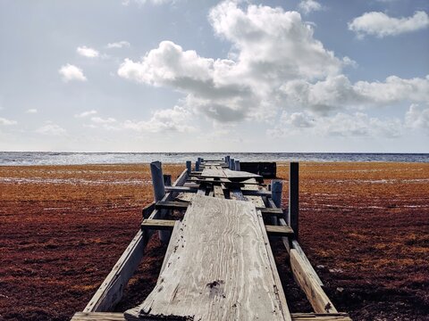 bridge