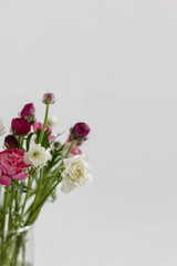 Ranunculus in a vase on a white background for text. Photo for text. Delicate spring flowers