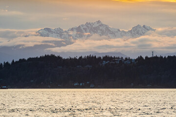 A sailboat makes its way back to the marina at sunset under a golden sky and mountains in the background