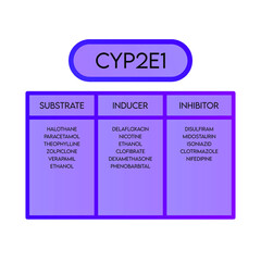 CYP2E1 Cytochrome p450 enzyme pharmaceutical substrates, inhibitors and inducers examples, for pharmacology, medicine, biochemistry education.