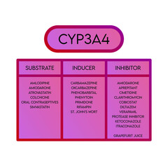 CYP3A4 Cytochrome p450 enzyme pharmaceutical substrates, inhibitors and inducers examples, for pharmacology, medicine, biochemistry education.