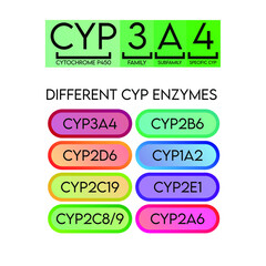 CYP Cytochrome p450 nomenclature and examples of common enzymes. Pharmacology and biochemistry infographic for education.