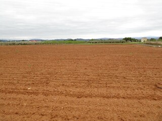 Agricultural Farming Field, Valencia, Spain