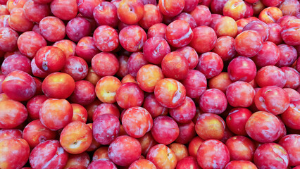 red plums stack in market