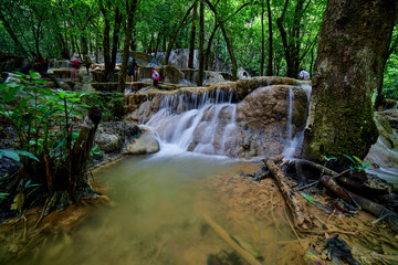 Naklejka premium waterfall in the forest 