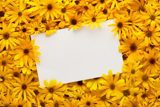 Yellow Flowers Border Images – Browse 133,522 Stock Photos, Vectors, and  Video | Adobe Stock