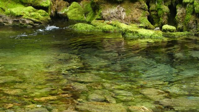 A view of a clear mountain stream.