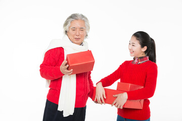 chinese lunar new year