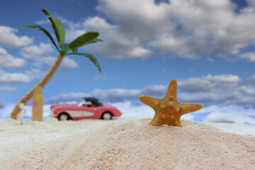 Fototapeta na wymiar Seashell on Tropical Beach With Vintage Hot Rod in Background and Blue Sky