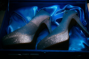 Princess shoe and debutante