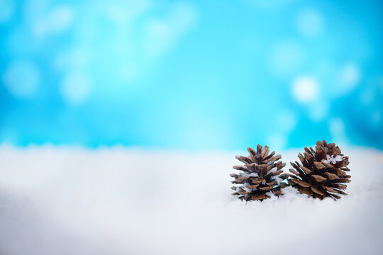 Wishing you a beautiful Christmas. Pine cones lying on some snow.