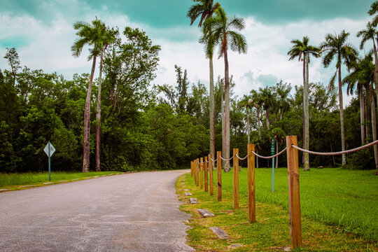 path through the park