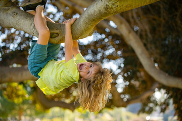 Kids climbing trees, hanging upside down on a tree in a park. Cute little kid boy enjoying climbing...