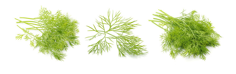 dill isolated on white background 