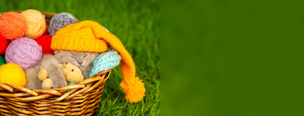  A small fluffy kitten sleeps in a basket with balls of wool with a teddy bear hugging. Place for text. Stretched panoramic image for banner