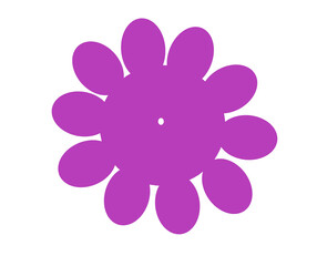 madagascar periwinkle flower with white background.