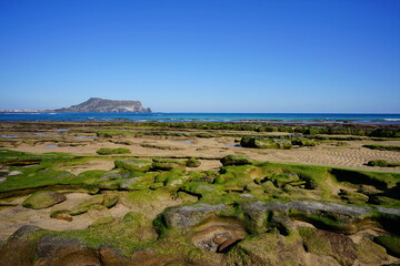 Fototapeta na wymiar impressive view with moss rock beach