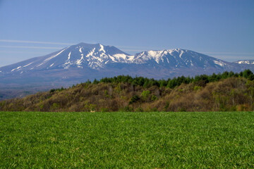 Fototapeta premium 浅間山