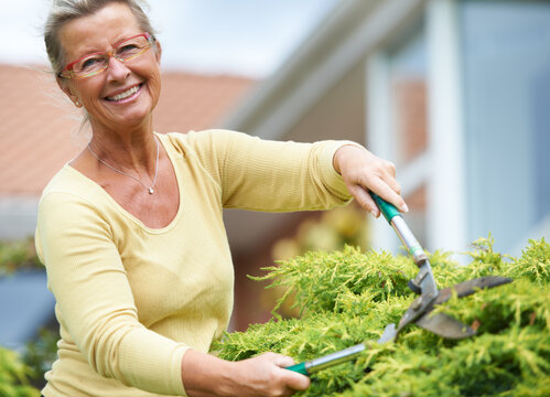 Keeping Her Garden In Great Condition. A Happy Senior Woman Trimming The Hedges In Her Garden With Shears.