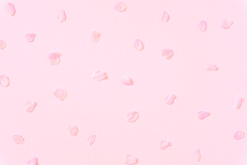 Background material of cherry blossom petals.  桜の花びらの背景素材