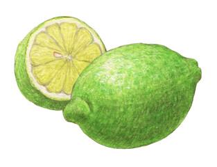 緑色のレモン一個と半分　水彩色鉛筆イラスト