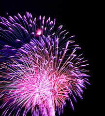 Firework display pyrotechnics 4th of July New Years
Panama City Beach Florida