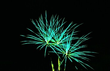 Firework display pyrotechnics 4th of July New Years
Panama City Beach Florida