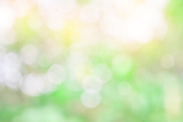 Nature blur green leaf and light abstract background. Sunlight bokeh on green leaf tree foliage in a park, blurred leaves forest sunny day in spring or summer, blurred nature pastel background