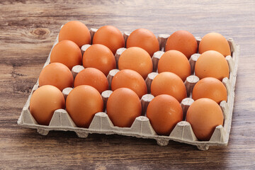 Organic chicken egg in the carton