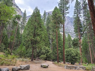 Hiking trail to base of Yosemite Falls in Yosemite National Park, California