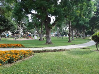 parque renan elias #1